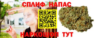 ПСИЛОЦИБИНОВЫЕ ГРИБЫ Камышлов