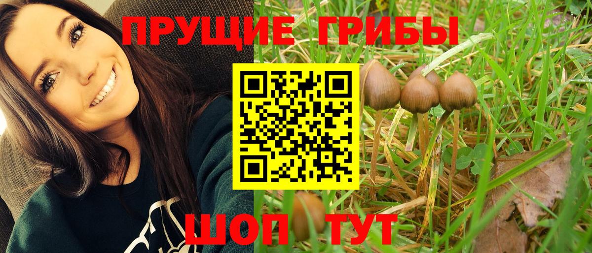 Галлюциногенные грибы Magic Shrooms Лангепас